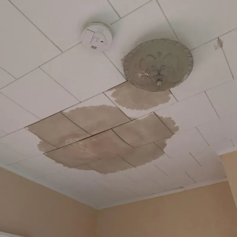Ceiling Water Damage Repair in Asheville, NC