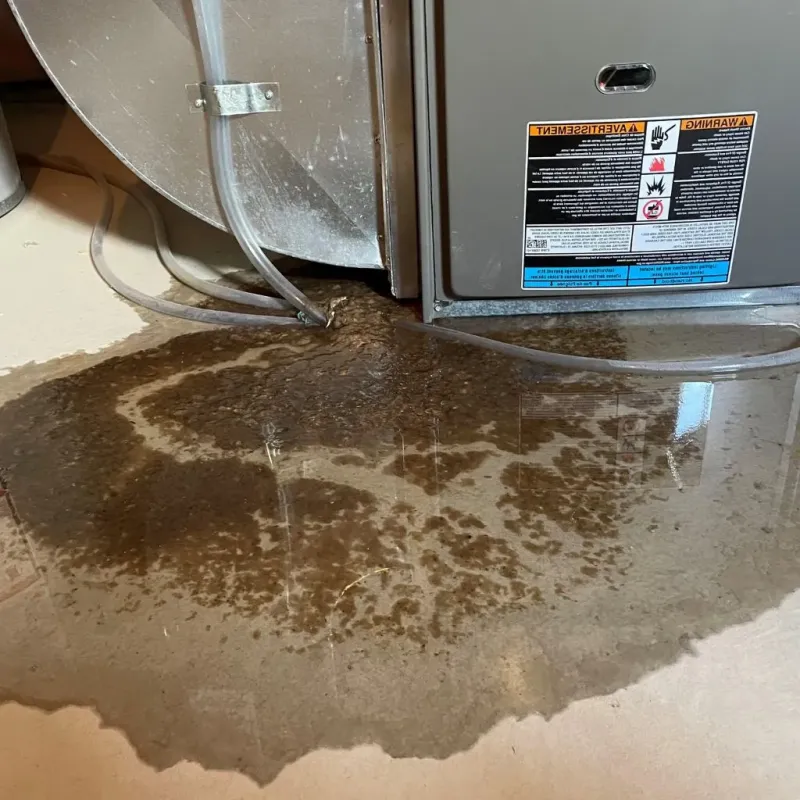 Pipe Burst and Leak Restoration in Asheville, NC