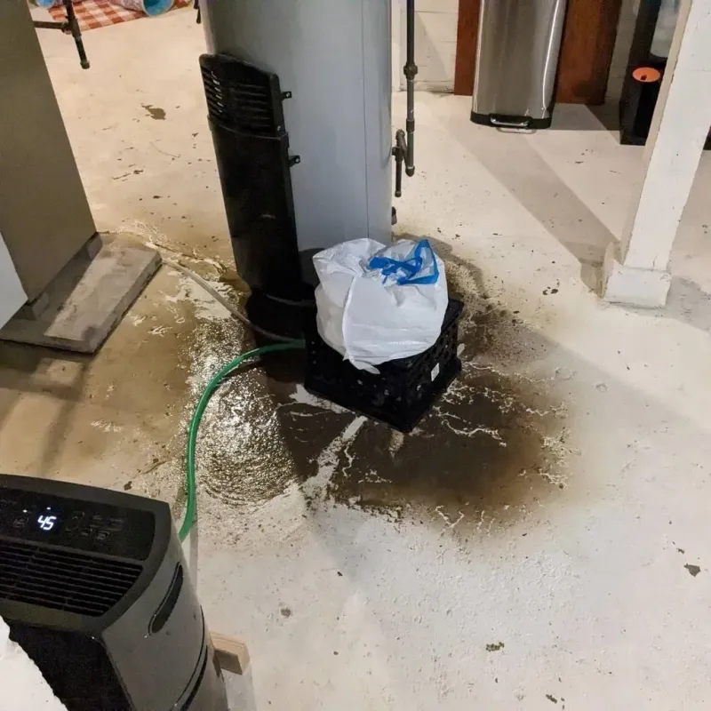 Sewage Backup Cleanup Service in Asheville, NC
